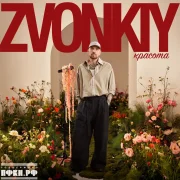 Zvonkiy - Красота