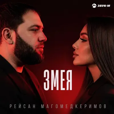 Рейсан Магомедкеримов - Змея