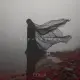 Eolla - Черная Вода