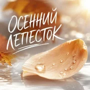 Гравитация - Осенний лепесток