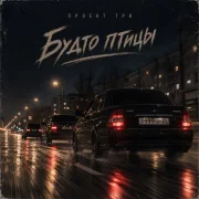 Проект Три - Будто птицы